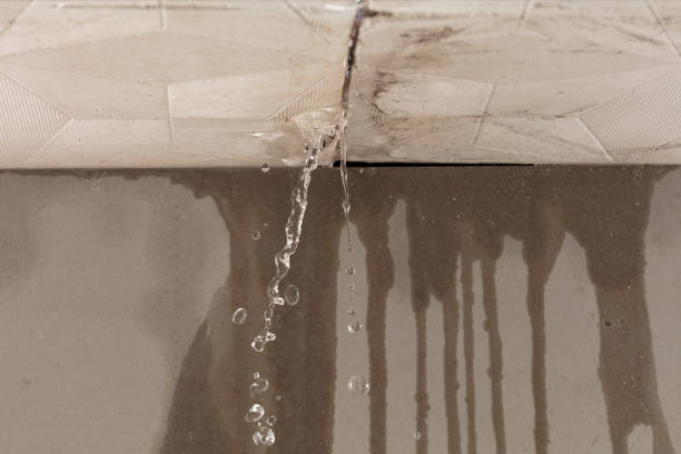 Professional Water Damage Restoration technician working in Granger, IA